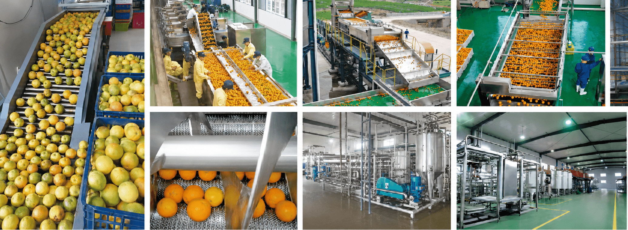 Các thành phần trong hệ thống sản xuất