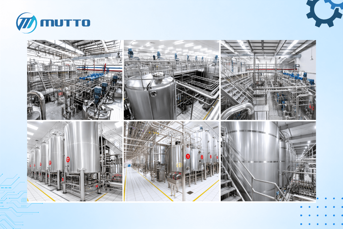 Một quy trình chiết xuất dược liệu tiêu chuẩn gồm những bước nào?