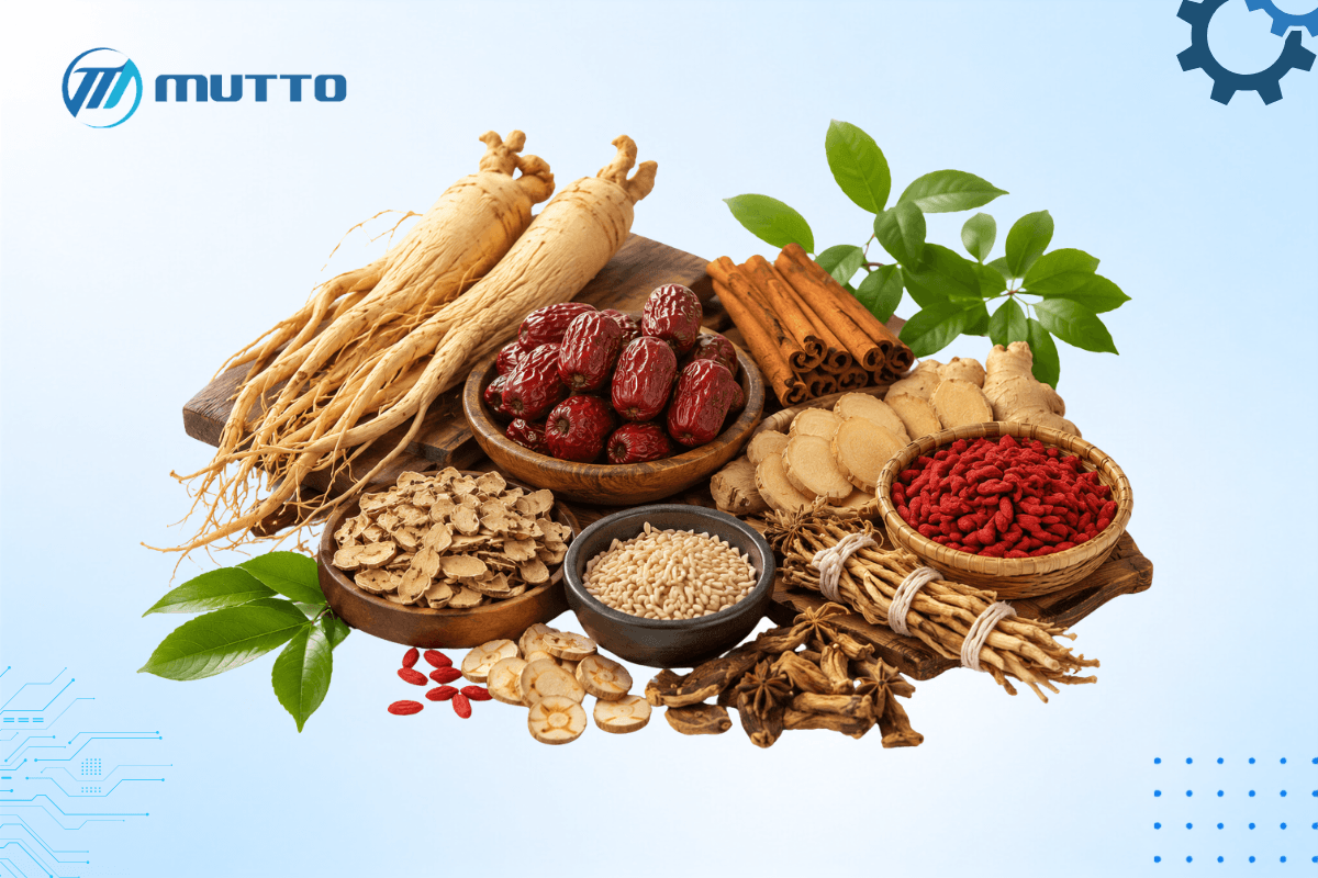 Những loại dược liệu nào thường được sử dụng để chiết xuất?